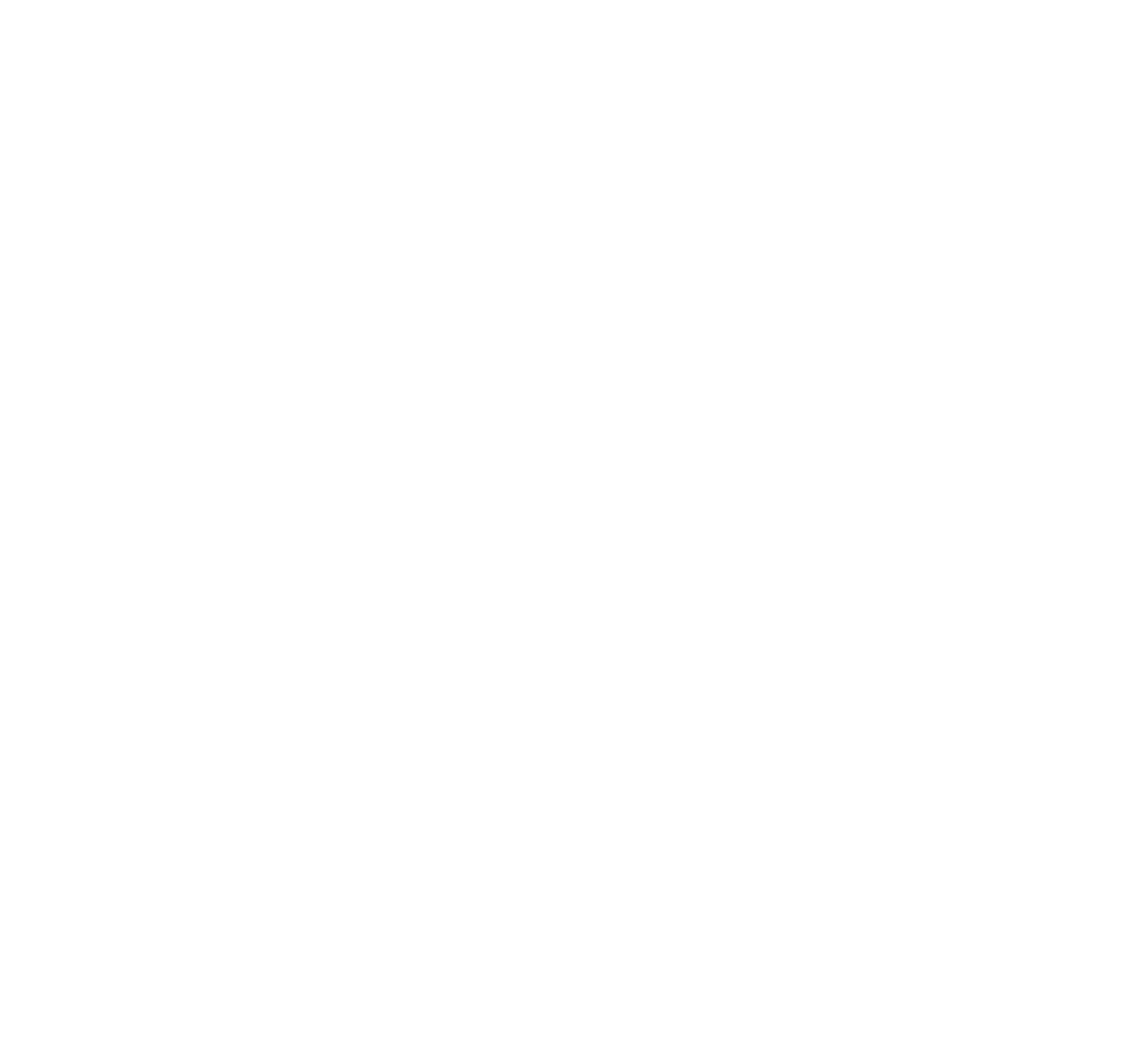 PNI Arkeia